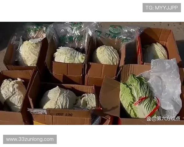 白菜分享君到底是真是假？揭秘背后的真相与骗局